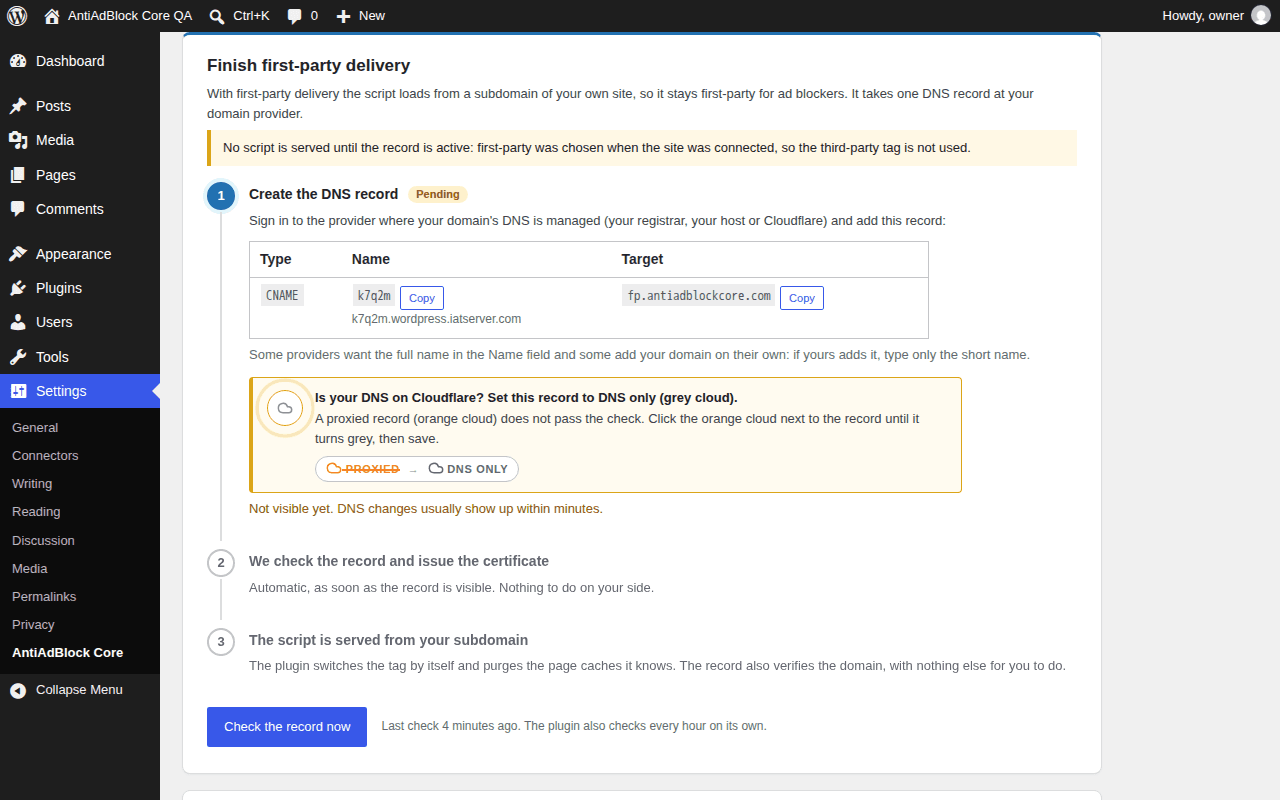 First-party delivery: the guided steps and the single DNS record to create.